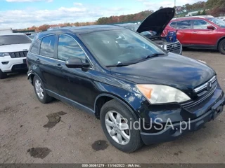 HONDA HONDA CR-V EX