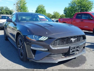 FORD FORD MUSTANG ECOBOOST PREMIUM FASTBACK