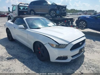 FORD FORD MUSTANG V6