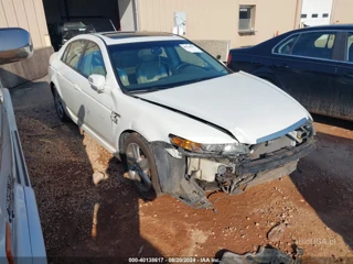 ACURA ACURA TL