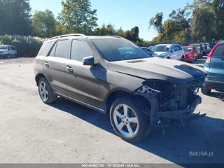 MERCEDES-BENZ MERCEDES-BENZ GLE 350 4MATIC