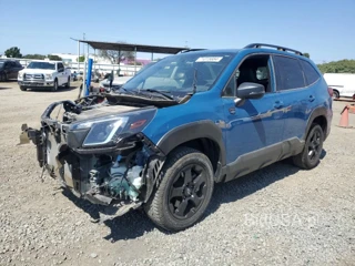 SUBARU FORESTER W WILDERNESS