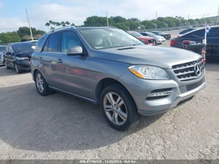 MERCEDES-BENZ MERCEDES-BENZ ML 350