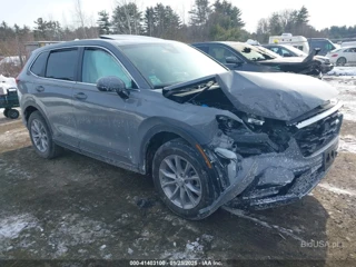 HONDA HONDA CR-V EX-L AWD