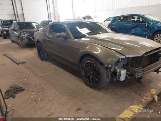 FORD FORD MUSTANG V6 PREMIUM