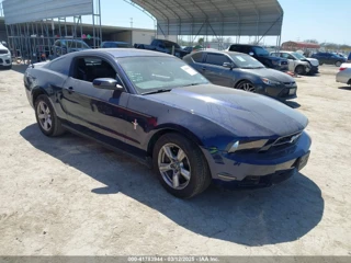 FORD FORD MUSTANG V6 PREMIUM