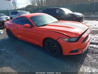 FORD FORD MUSTANG ECOBOOST