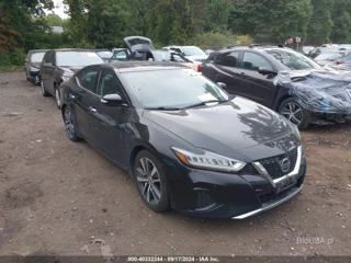 NISSAN NISSAN MAXIMA 3.5 SV