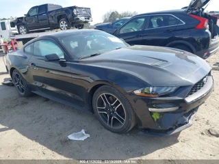 FORD FORD MUSTANG ECOBOOST FASTBACK