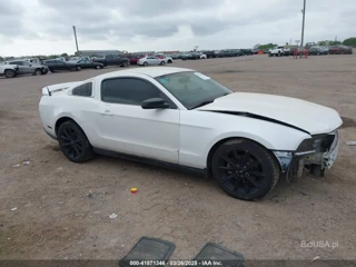 FORD FORD MUSTANG V6 PREMIUM