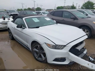 FORD FORD MUSTANG V6