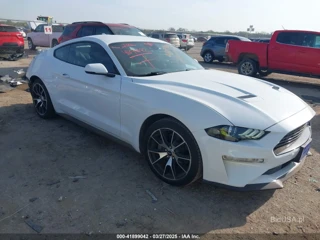 FORD FORD MUSTANG ECOBOOST PREMIUM FASTBACK