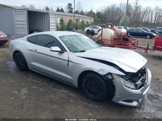 FORD FORD MUSTANG V6