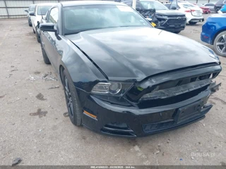 FORD FORD MUSTANG V6