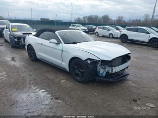 FORD FORD MUSTANG V6
