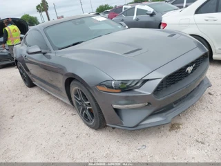 FORD FORD MUSTANG ECOBOOST FASTBACK