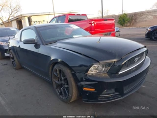 FORD FORD MUSTANG V6