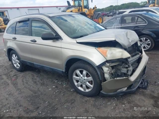 HONDA HONDA CR-V EX