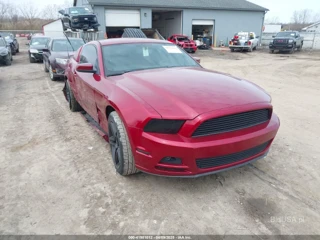 FORD FORD MUSTANG V6