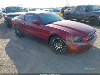 FORD FORD MUSTANG V6 PREMIUM