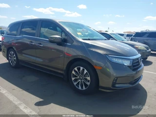 HONDA HONDA ODYSSEY EX-L
