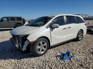 HONDA ODYSSEY EX EXL