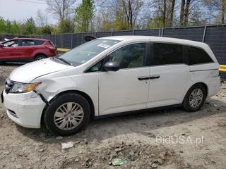 HONDA ODYSSEY LX LX