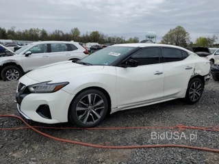 NISSAN MAXIMA S S