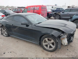FORD FORD MUSTANG ECOBOOST FASTBACK