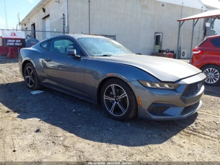 FORD FORD MUSTANG ECOBOOST FASTBACK