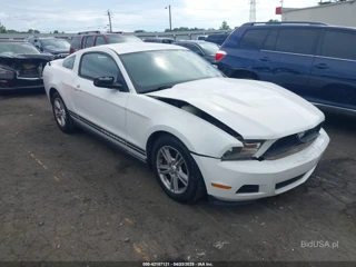 FORD FORD MUSTANG V6