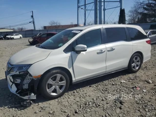 HONDA ODYSSEY EXL