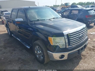 FORD FORD F-150 XLT