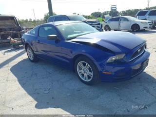 FORD FORD MUSTANG V6