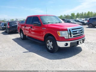 FORD FORD F-150 FX4/HARLEY-DAVIDSON/KING RANCH/LARIAT/PLATINUM/XL/XLT