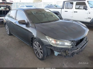 HONDA HONDA ACCORD SPORT