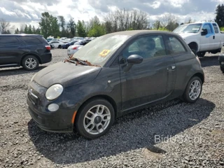 FIAT 500 POP POP