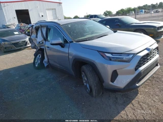 TOYOTA TOYOTA RAV4 XLE