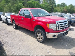 FORD FORD F-150 XLT