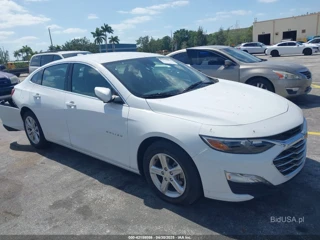CHEVROLET CHEVROLET MALIBU FWD 1LT