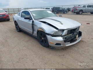 FORD FORD MUSTANG V6