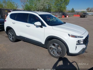 HYUNDAI HYUNDAI SANTA FE SEL