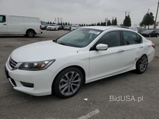 HONDA ACCORD SPO SPORT