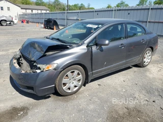 HONDA CIVIC LX LX