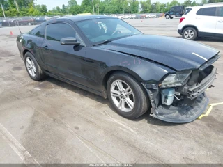 FORD FORD MUSTANG V6