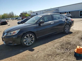 HONDA ACCORD SPO SPORT