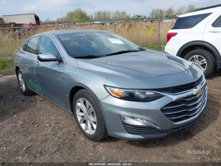 CHEVROLET CHEVROLET MALIBU FWD 1LT