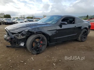 FORD MUSTANG GT GT