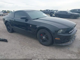 FORD FORD MUSTANG V6