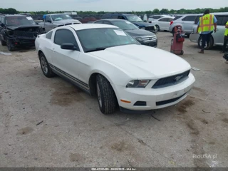 FORD FORD MUSTANG V6